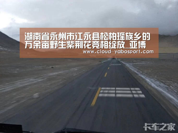 亚博娱乐